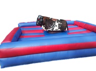 mechanical-bull