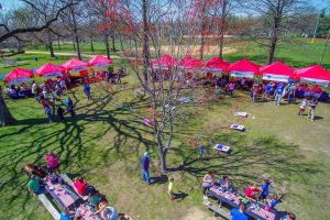 company picnics, corporate events, school carnivals, community festivals, inflatable rental, event catering