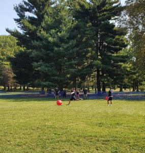 Giant Kickball Rental
