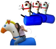 Pony Hops Rental
