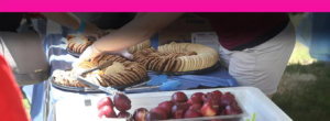Company picnic catering in St. Louis, MO. Company picnic event catering service provider.